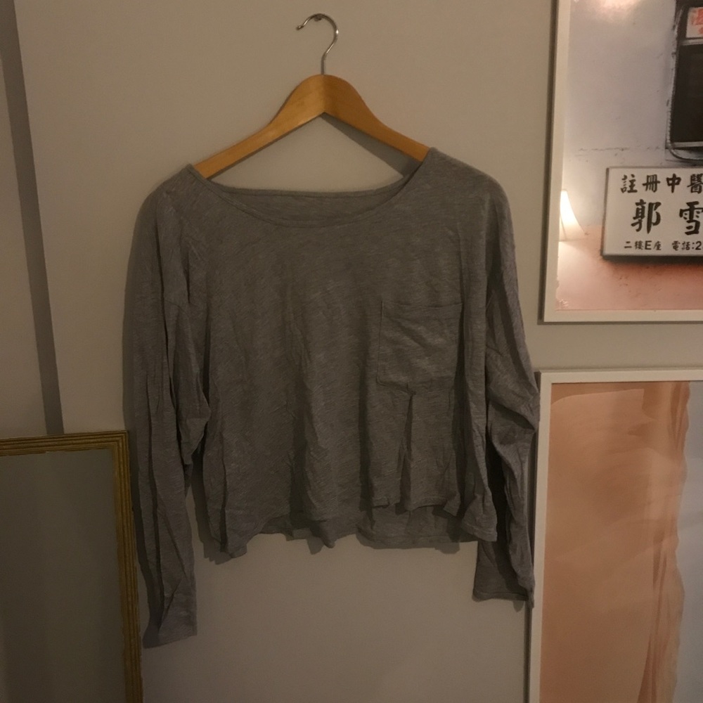 American apparel gray crop tee